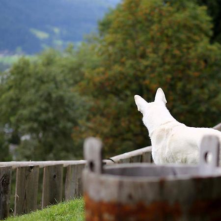 Panorama Ferienhaus Ematberg Mit Bergblick Und Sauna Niedernsill Esterno foto