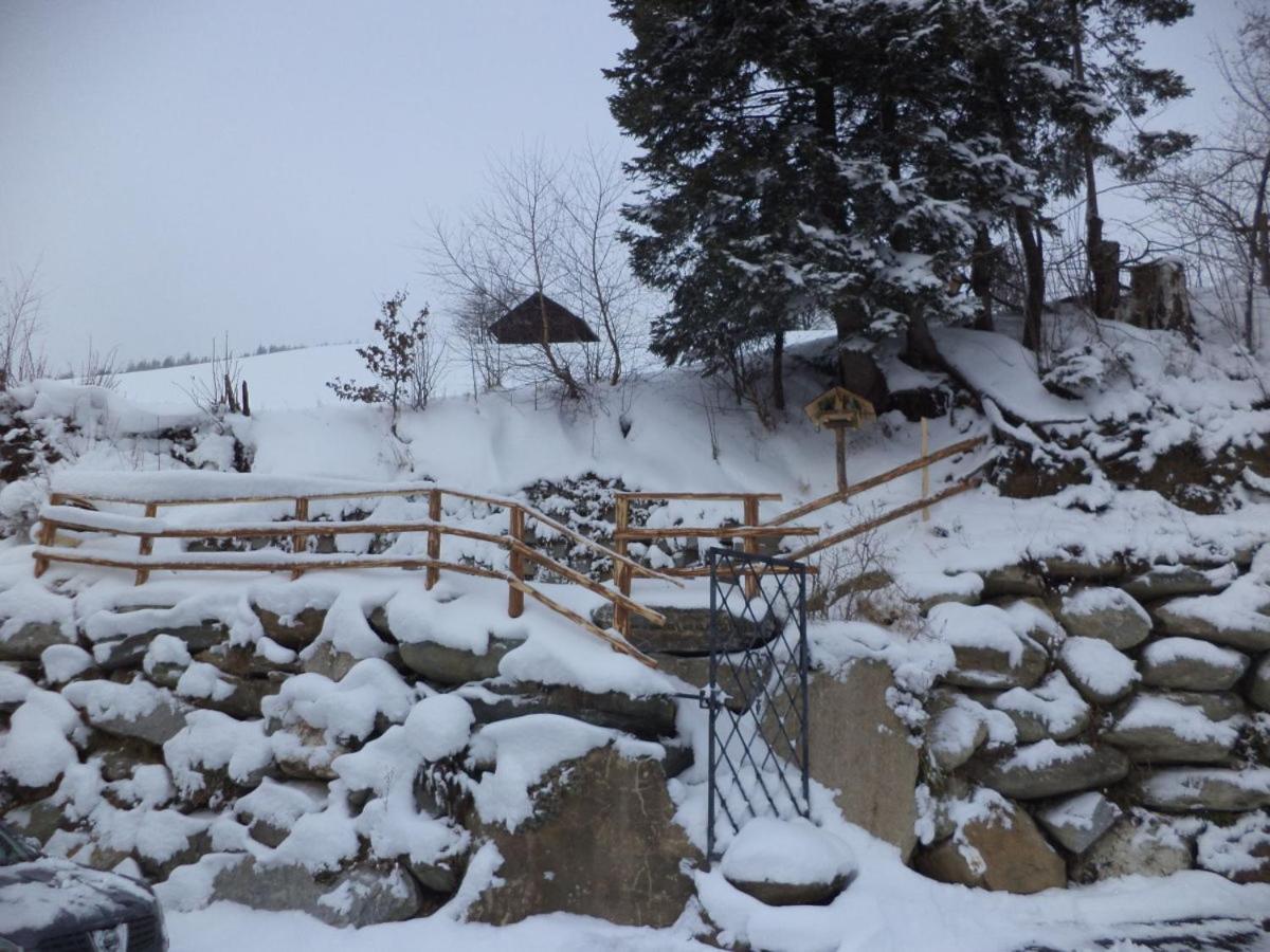 Panorama Ferienhaus Ematberg Mit Bergblick Und Sauna Niedernsill Esterno foto